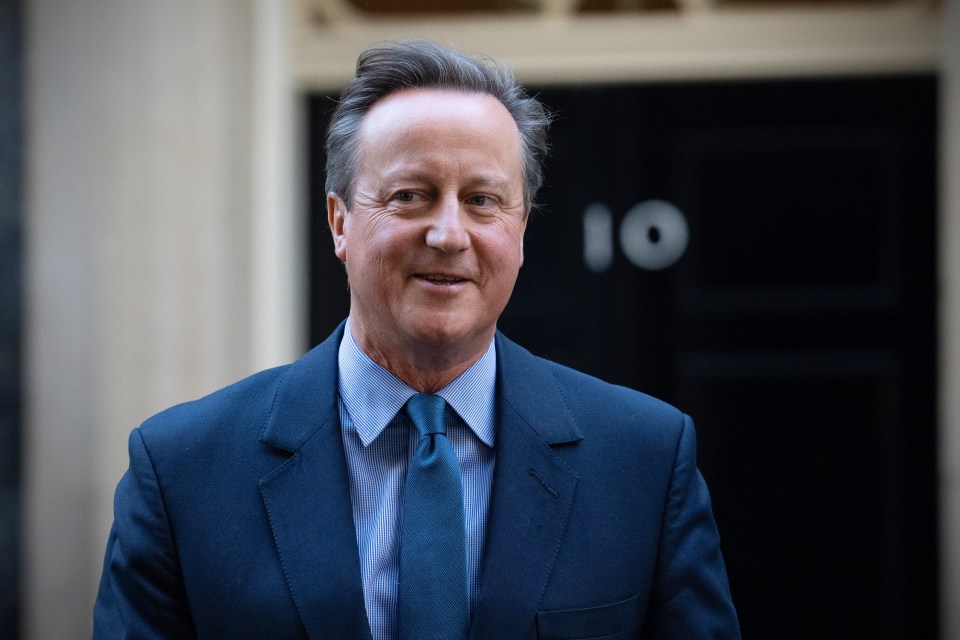 David Cameron took up Sunak’s offer of a shock return to frontline politics