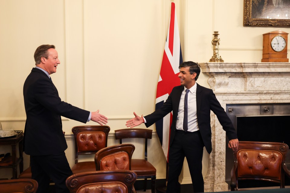 David Cameron met with the PM at Downing Street