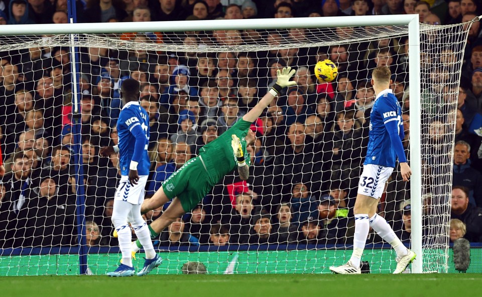 It flew into the top corner past Jordan Pickford