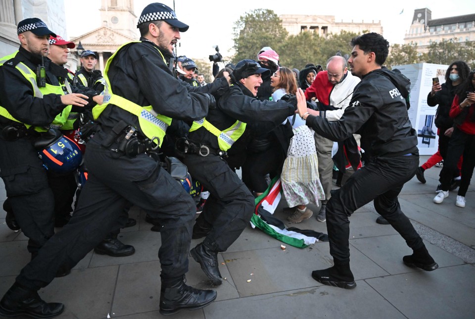 Met chief Sir Mark Rowley has admitted he is powerless to ban the march, saying the buck stopped at Home Secretary Suella Braverman