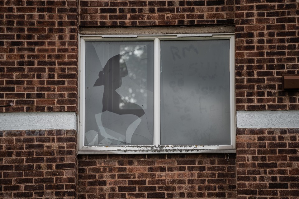 The window a woman was forced to hurl herself from to escape a neighbour’s crazed XL Bully