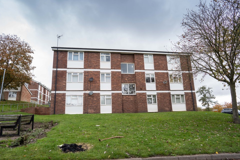 The attack happened at a flat in Mansfield, Nottinghamshire, late on Friday