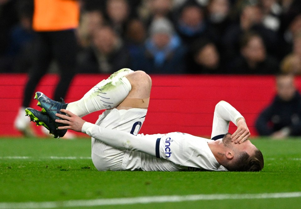 James Maddison was the other Spurs star forced off in agony