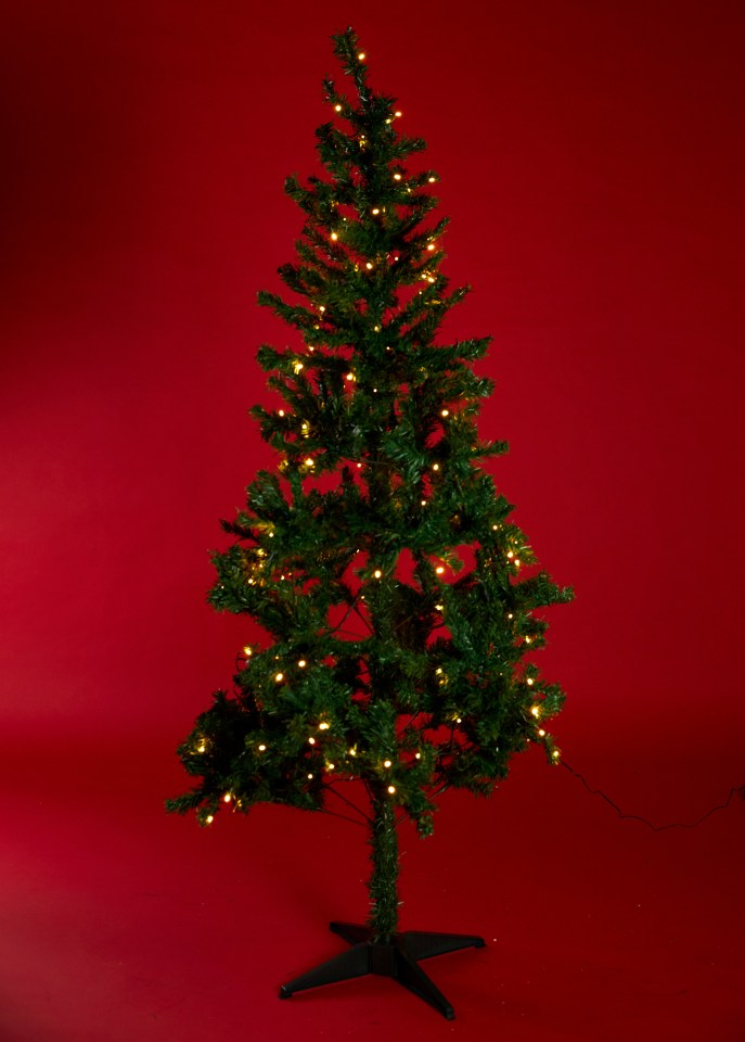 Anthea said Wilko's tree was great for those on a tight budget as it comes with free decorations