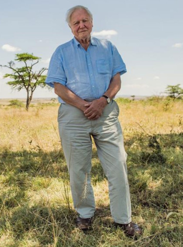 Is David Attenborough older than sliced bread?