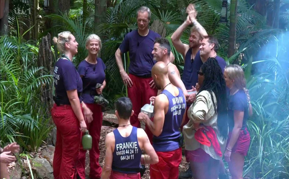 I'm A Celebrity has been a ratings success