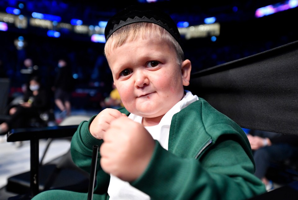 Internet sensation Hasbulla Magomedov has grown a huge fanbase online in recent years