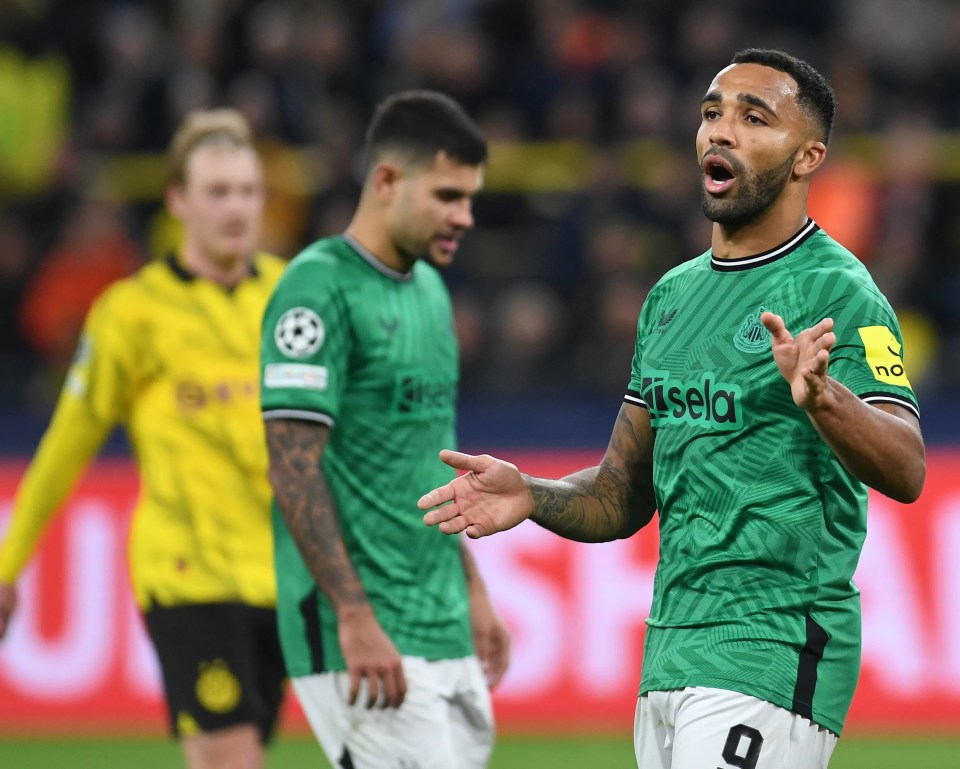 Callum Wilson suffered a hamstring problem during Newcastle's loss at Dortmund