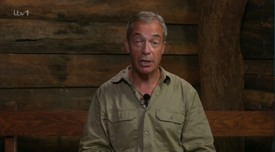 Nigel Farage opened up on the injuries he sustained after his plane crash 13 years ago