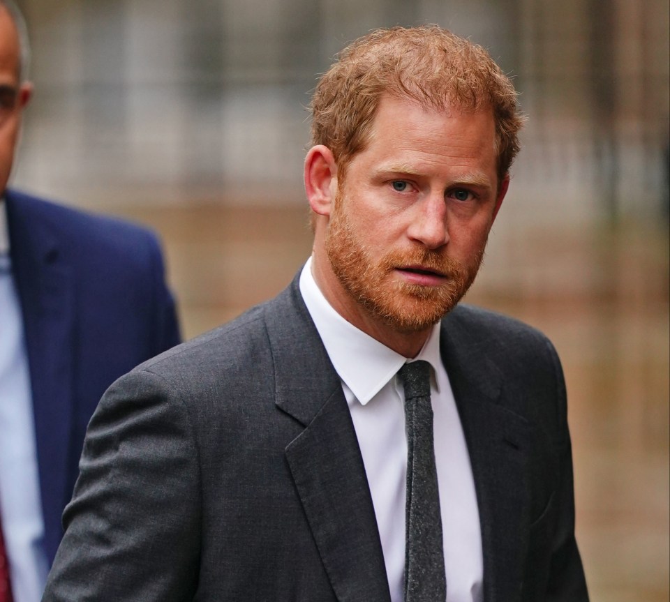 Prince Harry has been slammed for working with Netflix