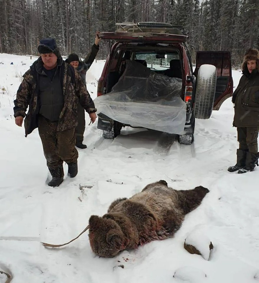 A local hunter shot the bear some 20 minutes after the attacks