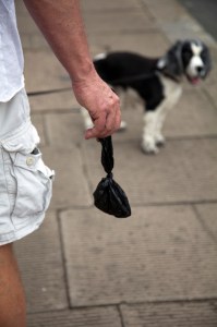  Failing to clear up after your dog could land you with a £100 fine