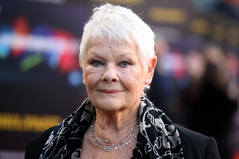 Dame Judi Dench has amassed a net worth of £40million since her acting debut in 1957