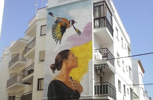 The Ruta de Murales is a popular spot for photographs