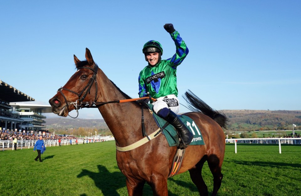 Ga Law ridden by Jonathan Burke won the 2022 Paddy Power Gold Cup