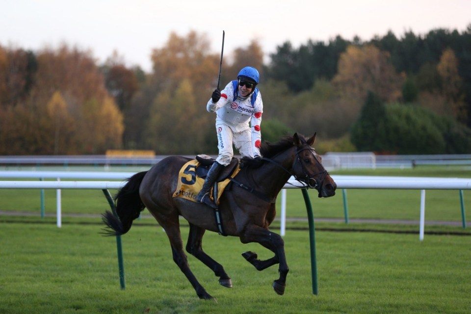 Harry Skelton celebrates winning the Betfair Chase with Protektorat on Betfair Chase Day at Haydock Park Racecourse, Newton-le-Willows. Picture date: Saturday November 19, 2022. PA Photo. See PA story RACING Haydock. Photo credit should read: Nigel French/PA Wire. RESTRICTIONS: Use subject to restrictions. Editorial use only, no commercial use without prior consent from rights holder.