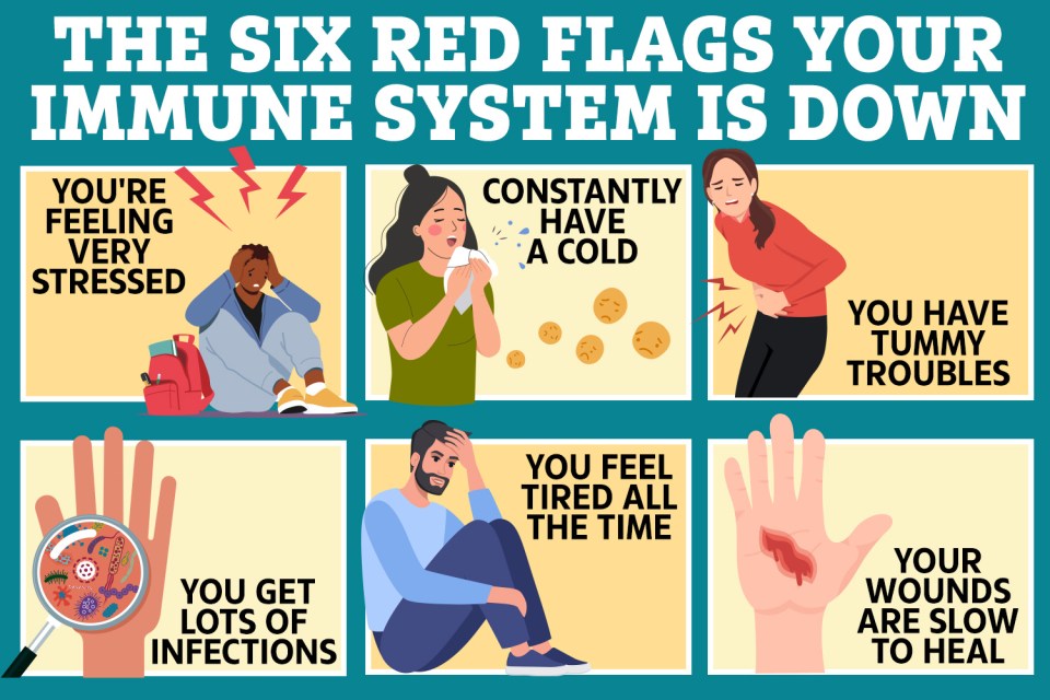 Feeling tired all the time and constantly getting colds could mean your immune system is compromised