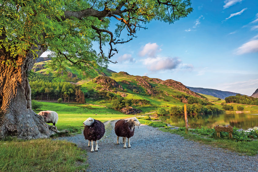 When you’re not in the spa there’s plenty to see in the Lake District