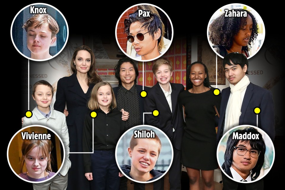 Angelina Jolie with the couple's children Knox, Vivienne, Pax, Shiloh, Zahara and Maddox