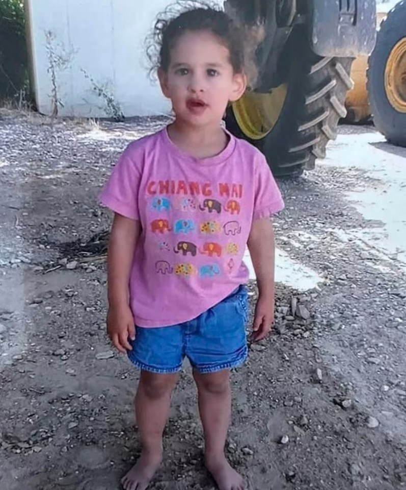 Abigail Edan, three, was released on Sunday after both her parents were reportedly killed by Hamas on October 7