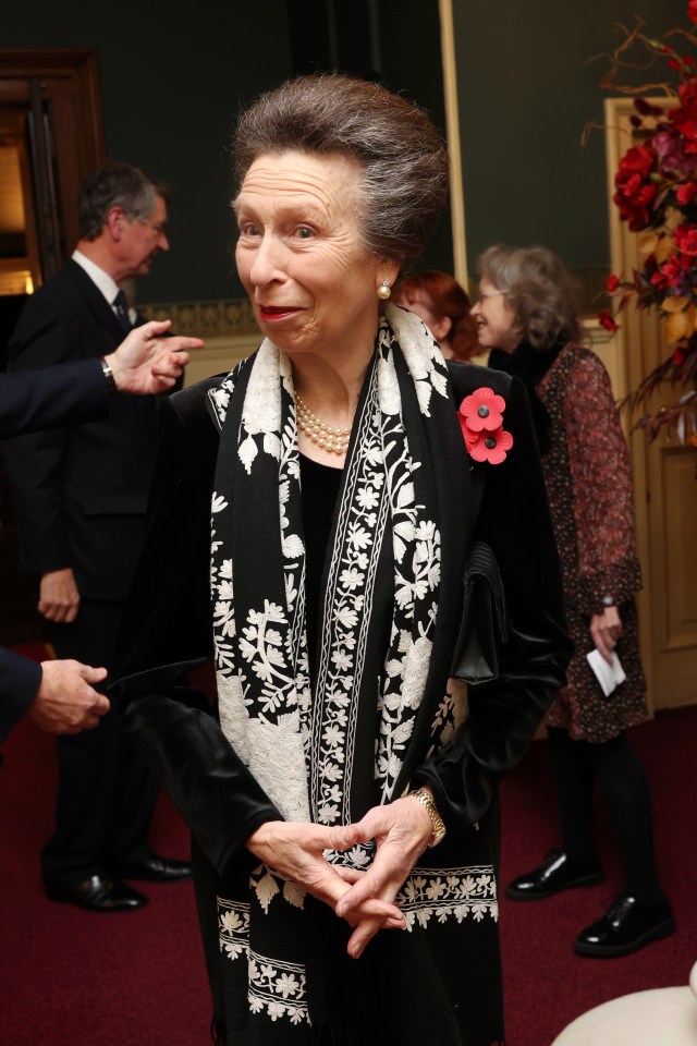 Princess Anne donned several poppies in honour of Remembrance Day