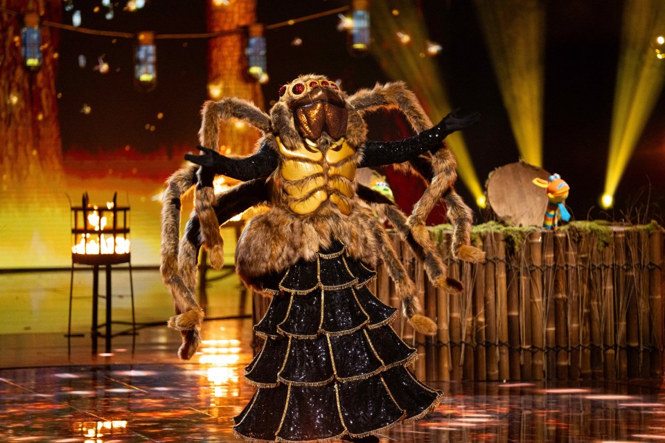 A graphic looking spider is one of the new characters for the Masked Singer