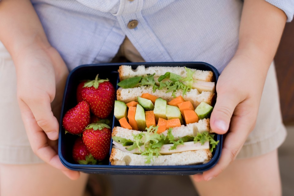 Rhiannon says: 'A balanced lunchbox for children is very similar to that of adults, although portion sizes will differ depending on ages'