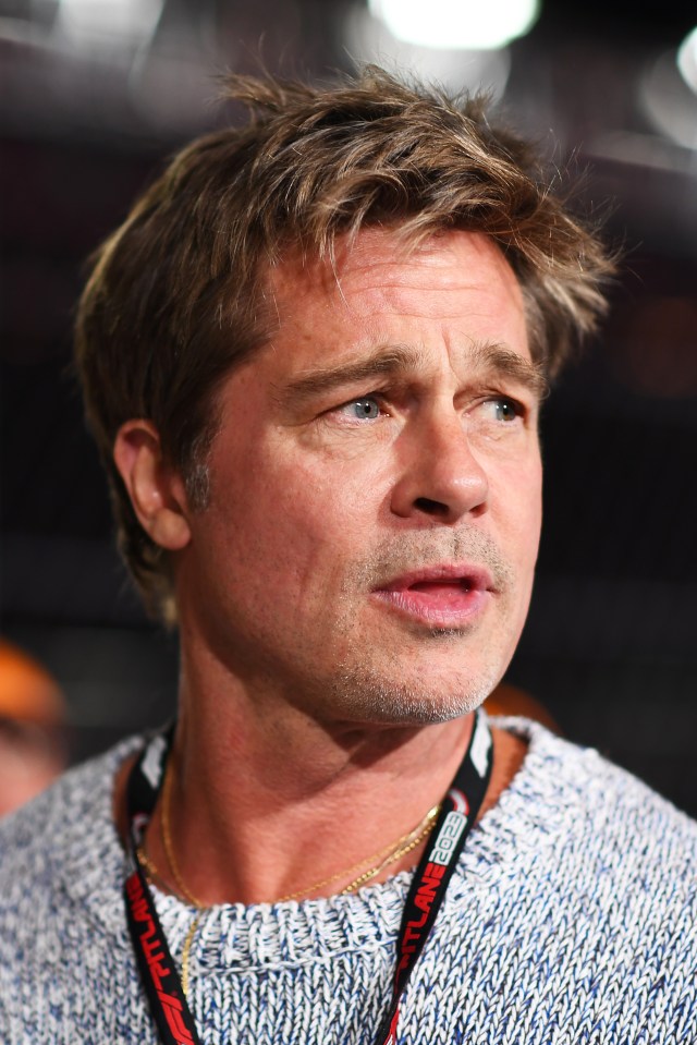 Brad Pitt was branded a 'world-class a**hole' by his son Pax