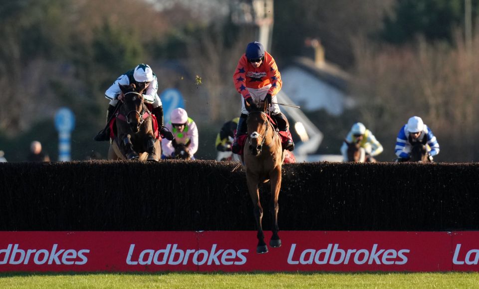 Bravemansgame decimated his rivals in last year's King George at Kempton