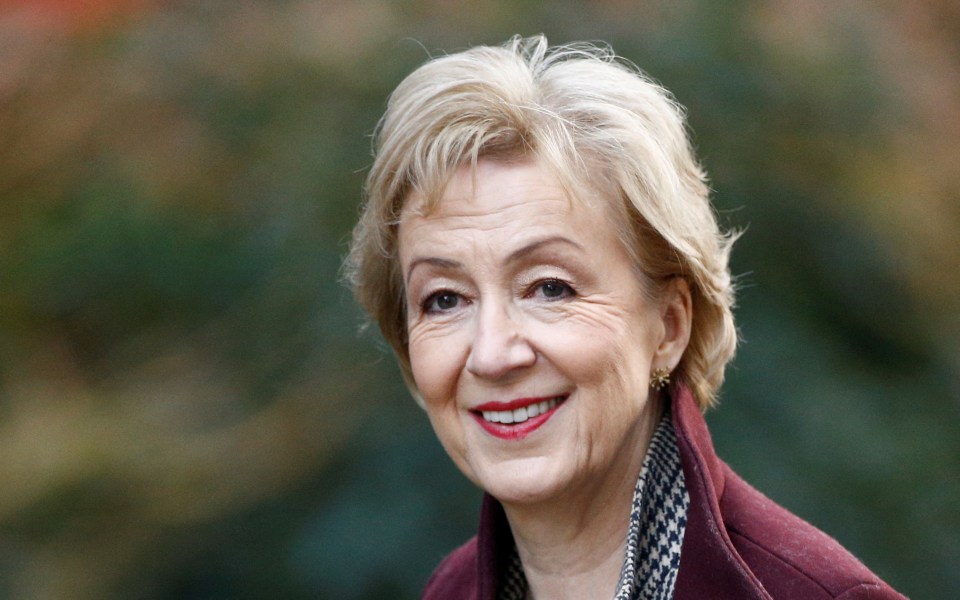 Former Business Secretary Andrea Leadsom said the drop will be a huge relief.