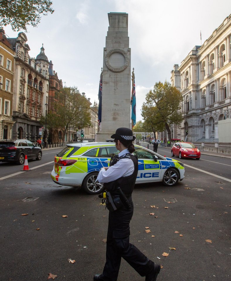 A police officer patrols the Cenotaph