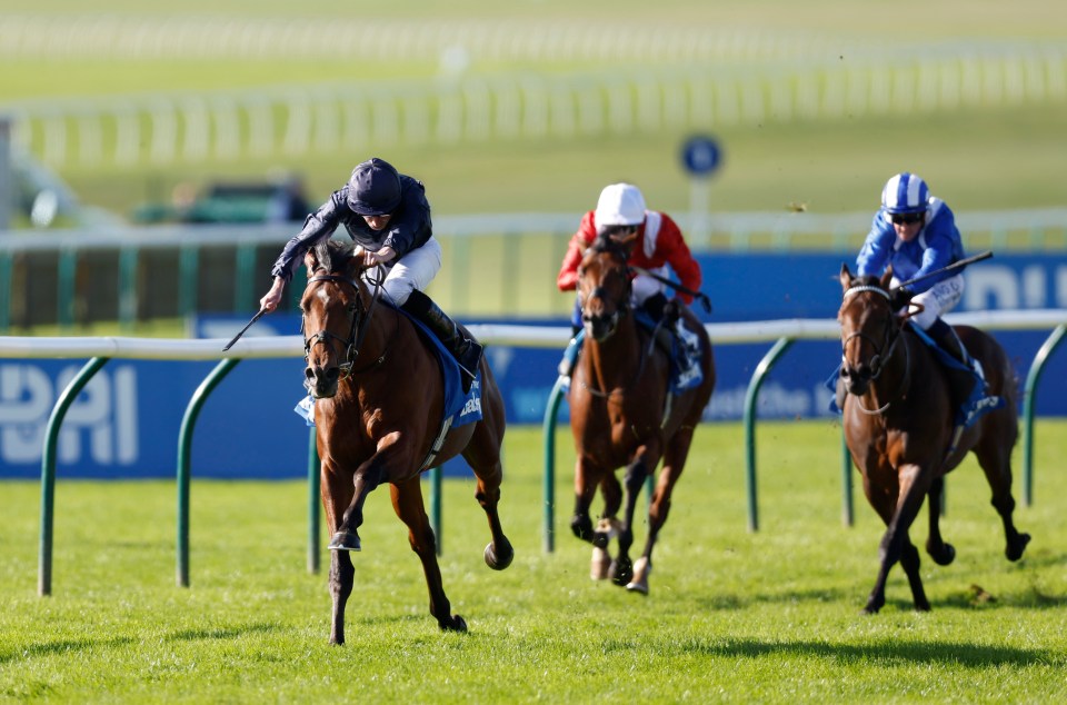 City Of Troy trounced his rivals in the Dewhurst