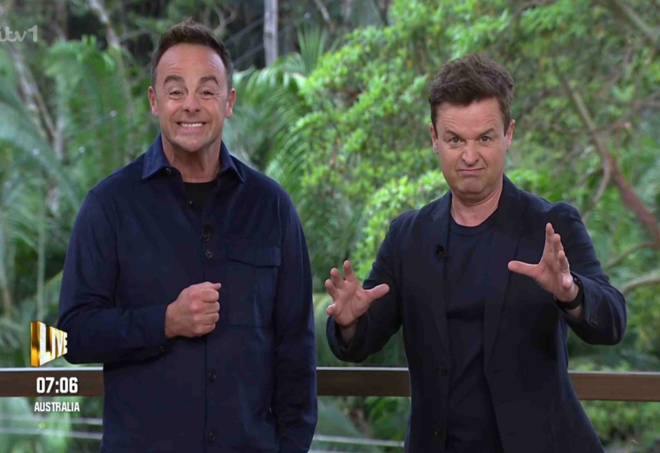 Ant and Dec pummelled the new I’m Celeb stars with digs and swipes