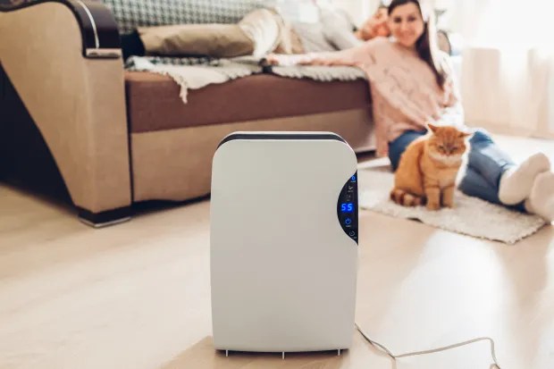 Making sure you're dehumidifier is in the right place could save you cash on your bill