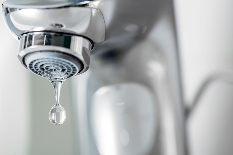 South West Water is set to launch new "environmental tariffs" for customers