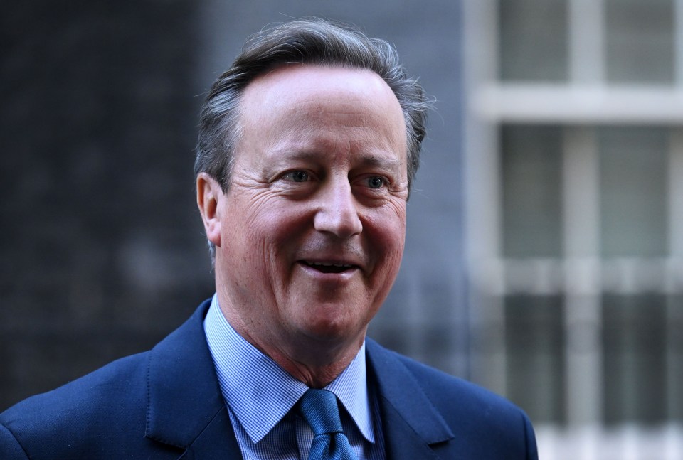 A smiling Lord Cameron outside No.10 earlier today