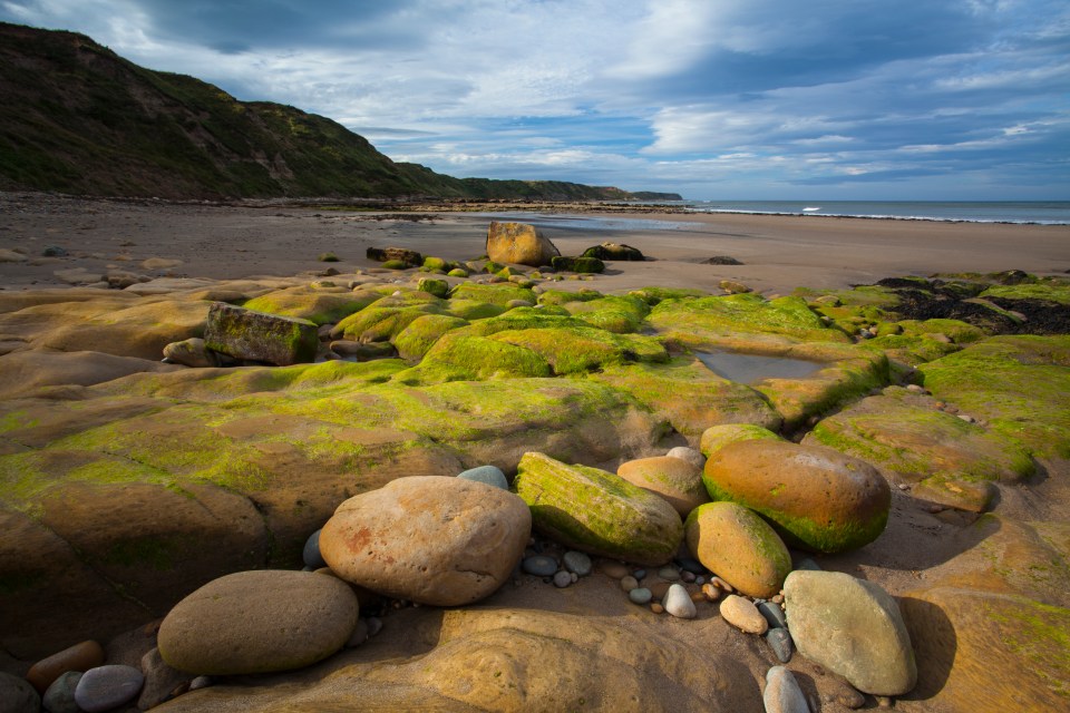 Highlights in the North York Moors include hills like Roseberry Topping, the dramatic ‘Dinosaur Coast’, Dalby Forest