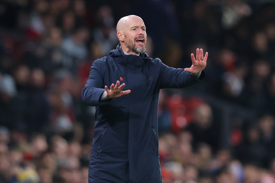 Erik ten Hag is seeking January reinforcements