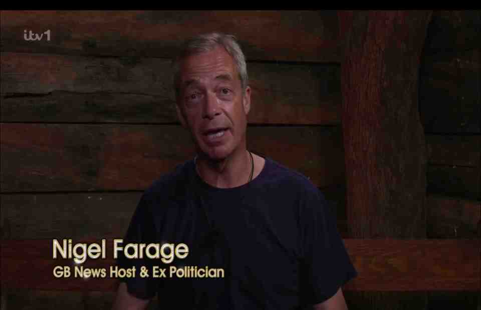 Her pals noticed something was wrong when she didn't engage with Nigel Farage over Brexit