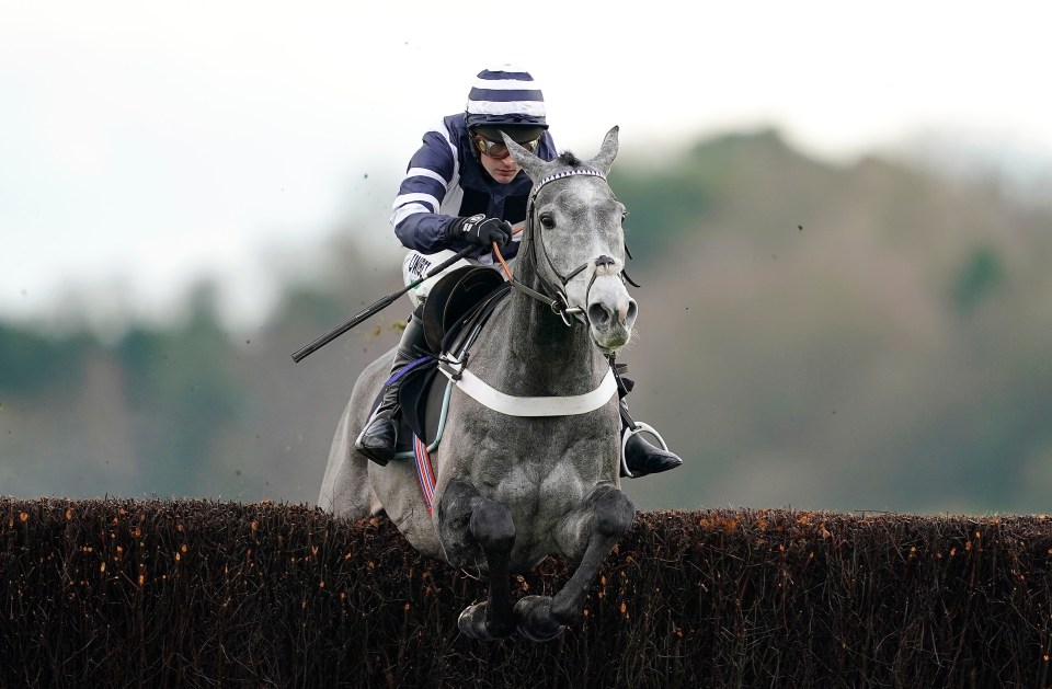 Angel's Breath is a leading contender for the Paddy Power Gold Cup