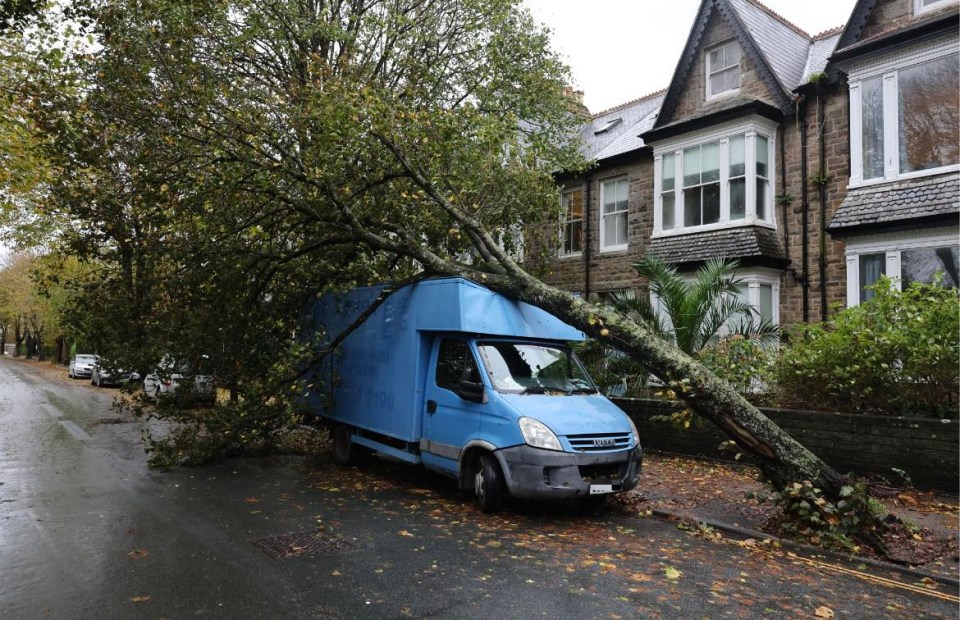 A fallen tree crushes a van in Penzance, Cornwall