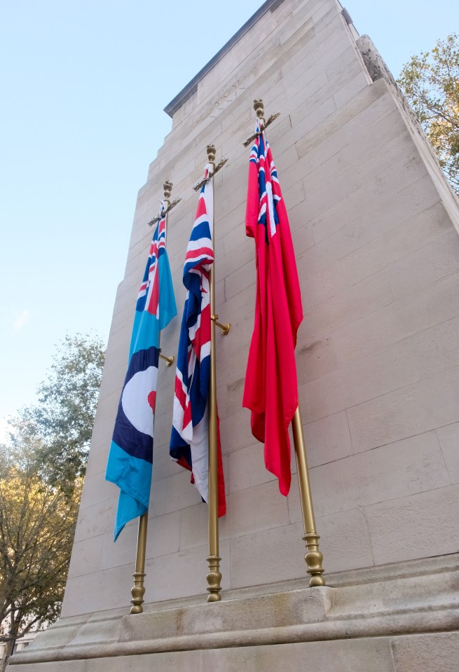 Organisers say Saturday’s march will avoid the Cenotaph, instead running from Hyde Park and ending at the US Embassy in Battersea