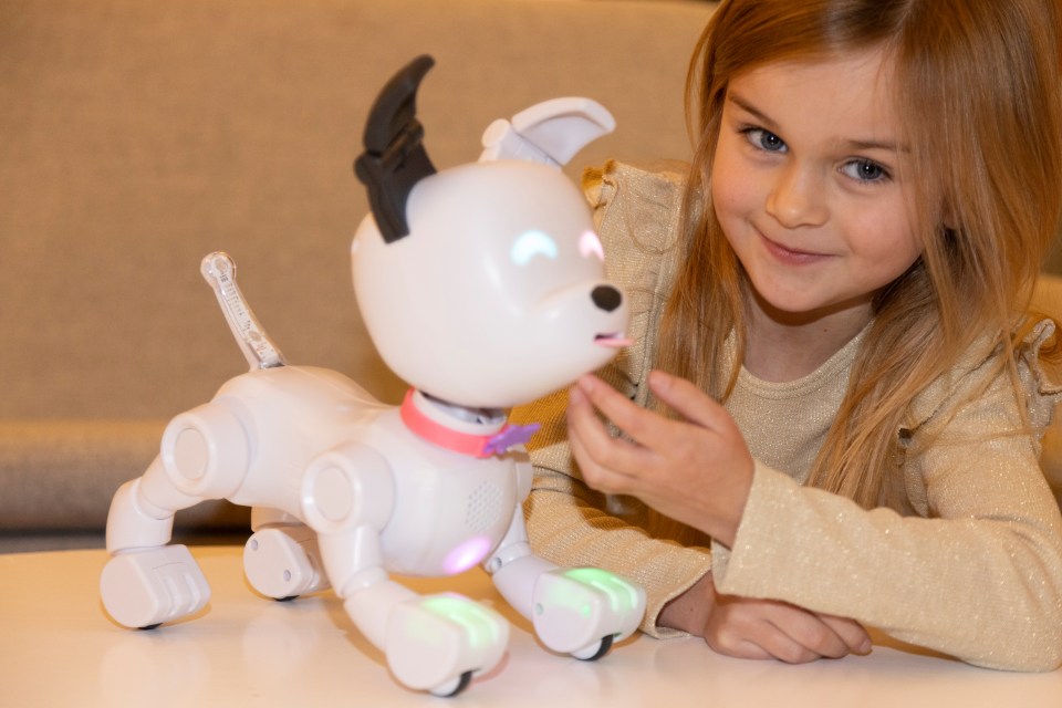 The MINTiD Dog-E is one of 2023's top toys, priced at £89.99