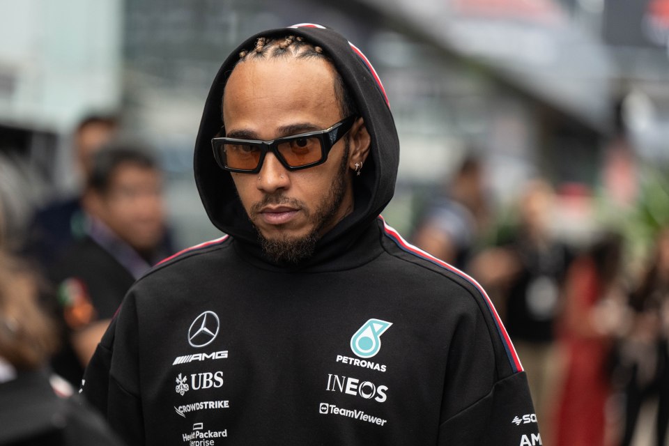 Lewis Hamilton has said he is 'counting down the days' until the end of the F1 season