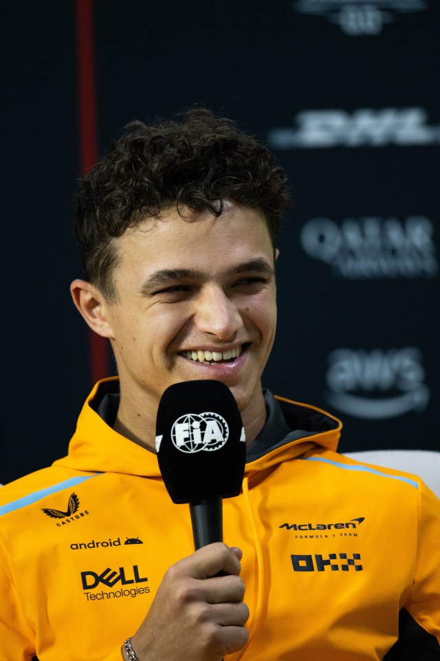 Lando Norris finished seventh in the 2022 F1 World Championship