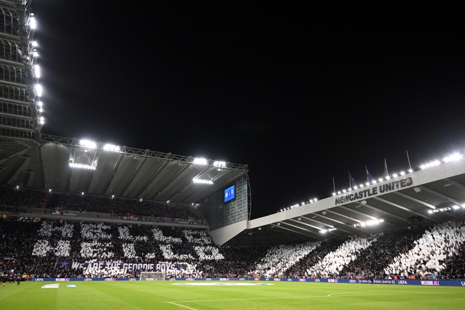 Newcastle have not ruled out a brand new ground as they explore expanding their capacity