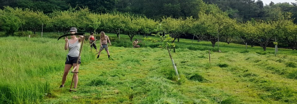 The 14 family members grow their own food and sell cider for cash