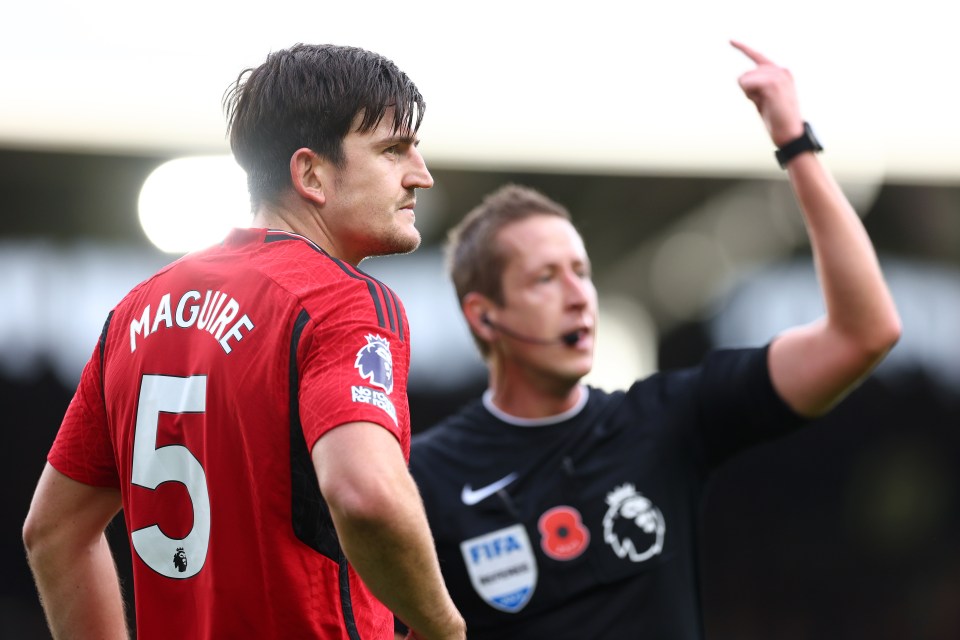 John Brooks called on the medical team to check on Maguire in the second half