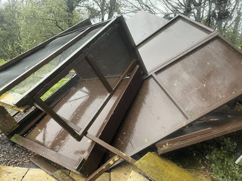 A wrecked aviary at the GSPCA animal shelter on Guernsey