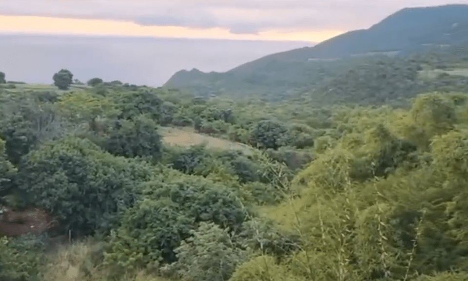 Ballards Valley, St Elizabeth, Jamaica, where Robert went missing